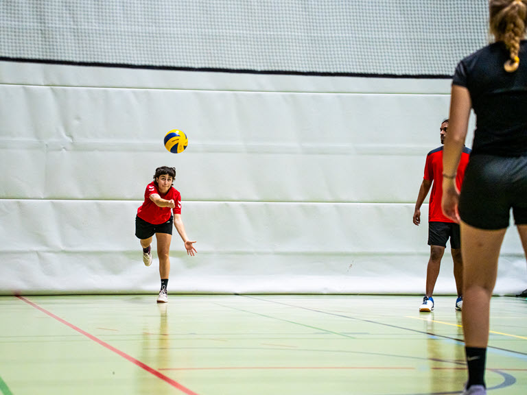 Volleyballnight