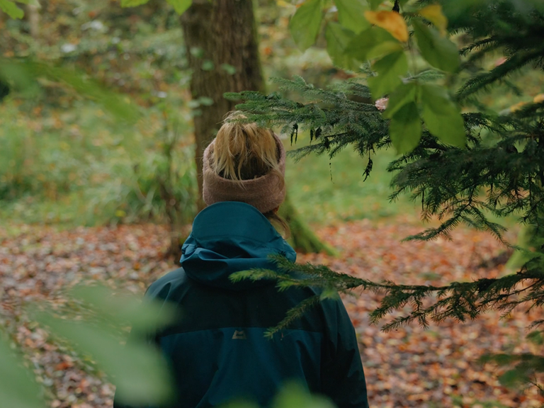 Mindful Saturday, Mentale Gesundheit, Waldbaden, Shinrin Yoku, Retreat