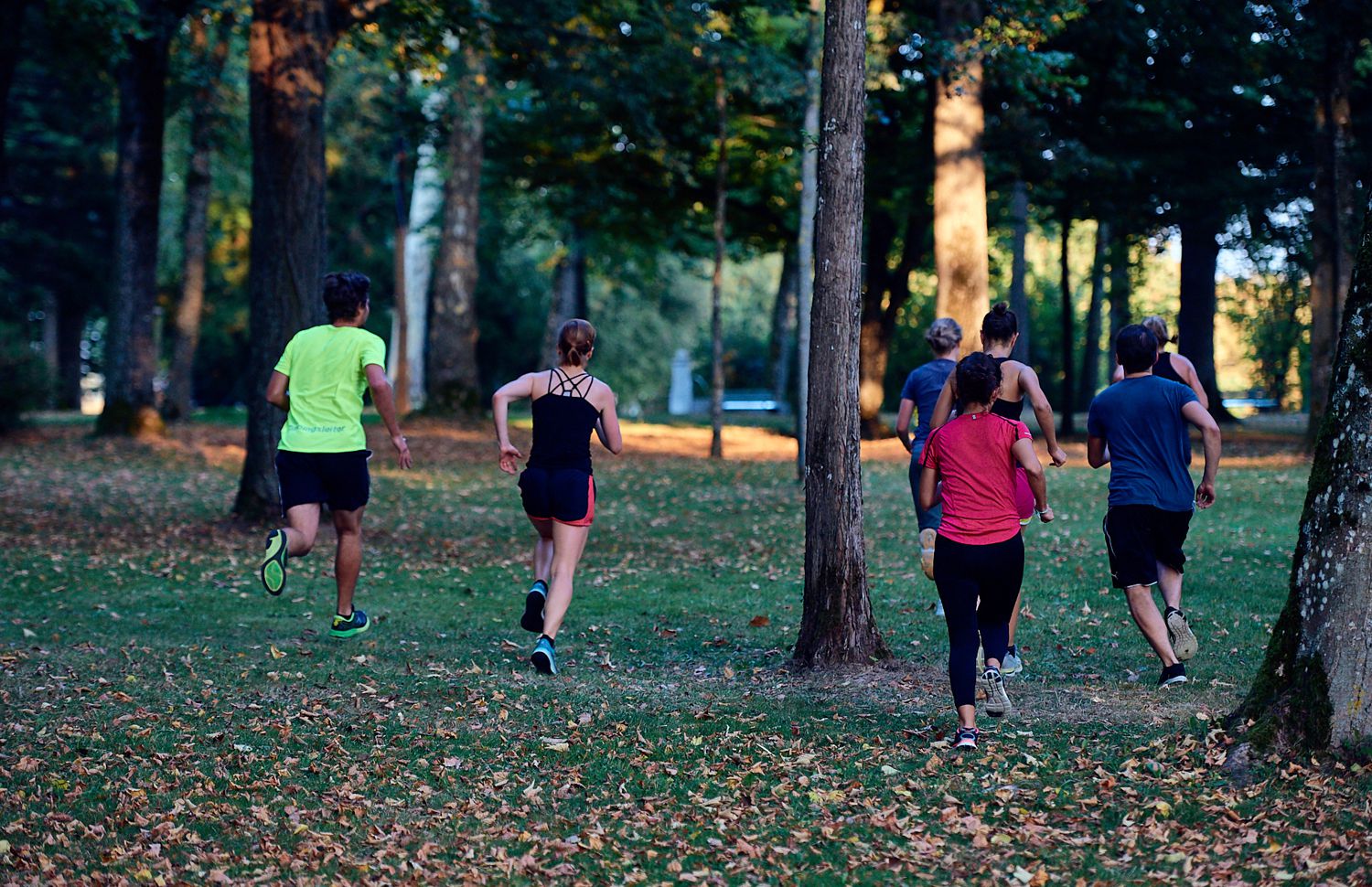 Laufsport